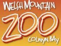 Welsh Mountain Zoo, prices and bookings 2024
